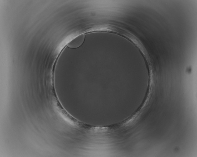 X0000113270858200909171712