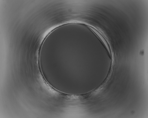 X0000113270862200909171712