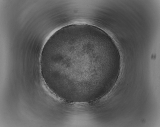 X0000113270864200909171712
