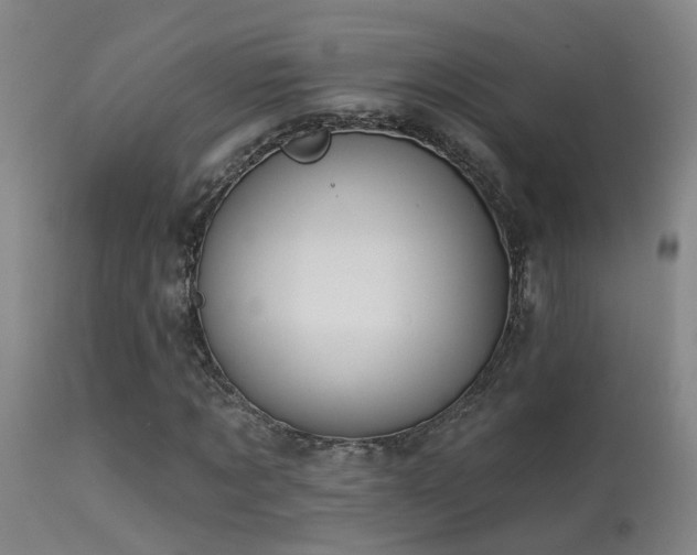 X0000113270869200909171711
