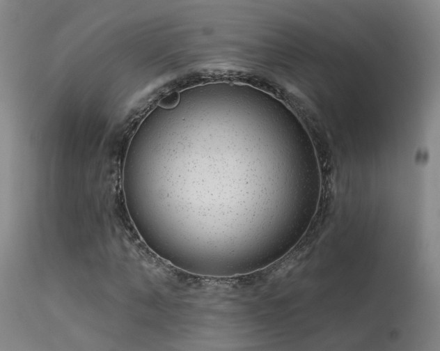 X0000113270870200909171711