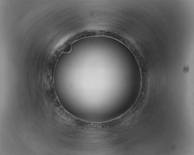 X0000113270871200909171711