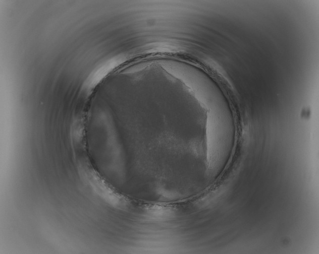 X0000113270874200909171711