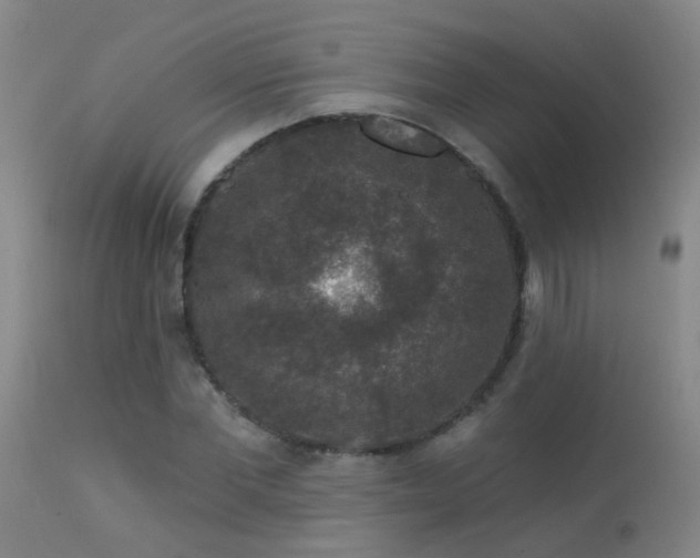 X0000113270877200909171711