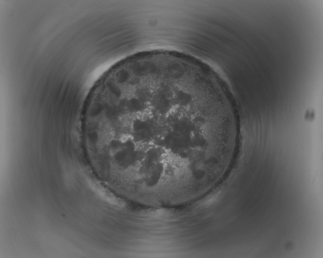 X0000113270879200909171711