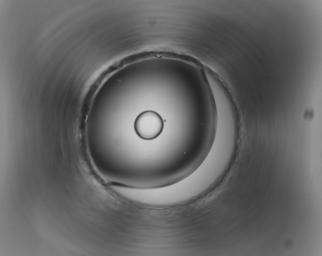 X0000113270880200909171711