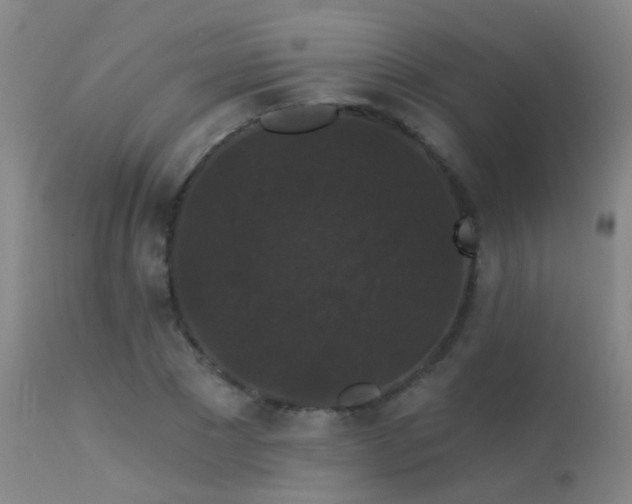 X0000113270881200909171711