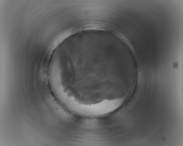 X0000113270882200909171711