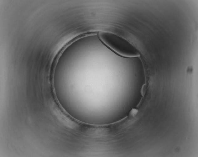 X0000113270884200909171711