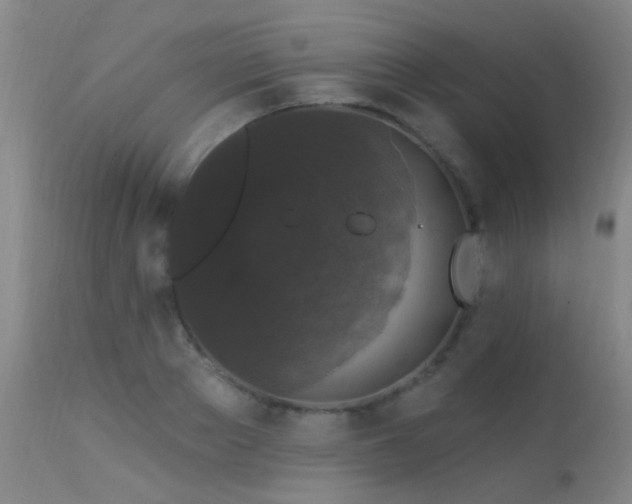X0000113270889200909171711
