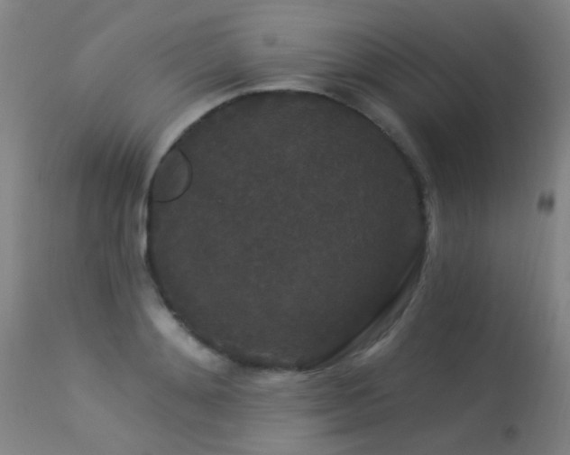 X0000113270892200909171711