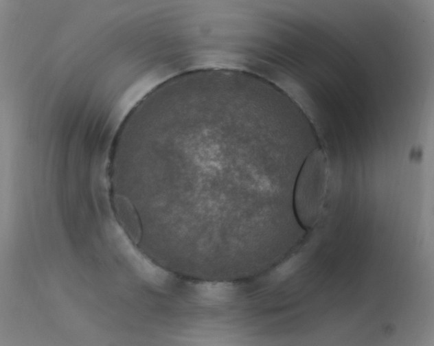 X0000113270893200909171711