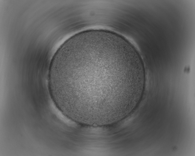 X0000113270895200909171711