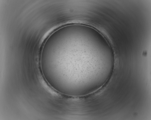 X0000113270896200909171711