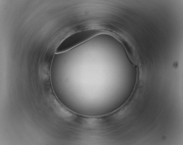 X0000113270897200909171711