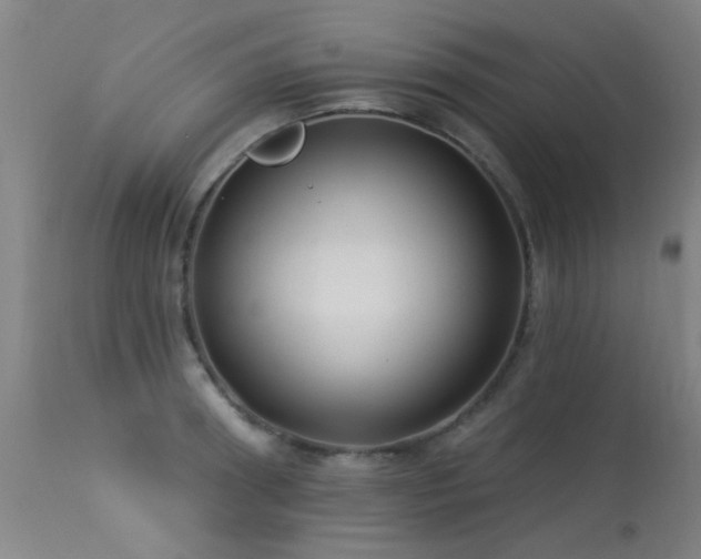 X0000113270898200909171711