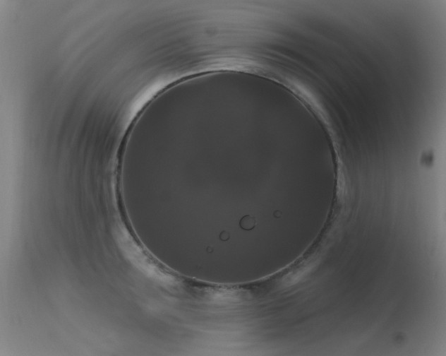 X0000113270899200909171711