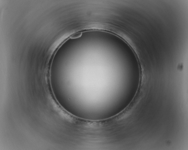 X0000113270901200909171711