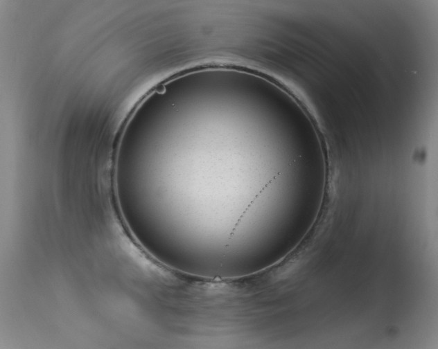X0000113270903200909171711