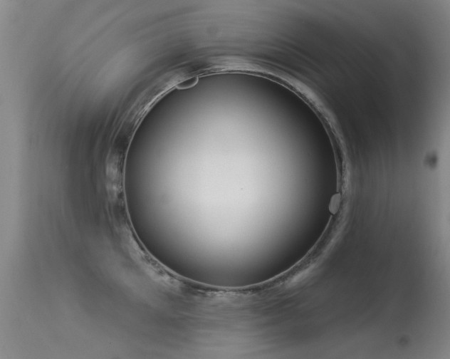 X0000113270905200909171710