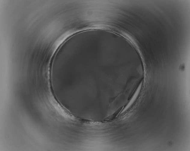 X0000113270907200909171710