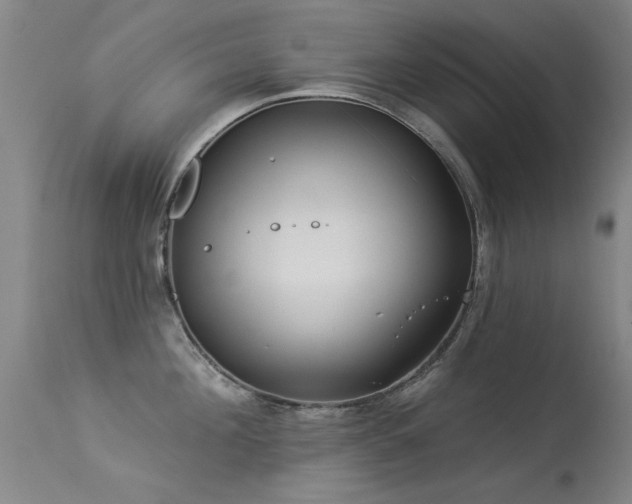 X0000113270908200909171710