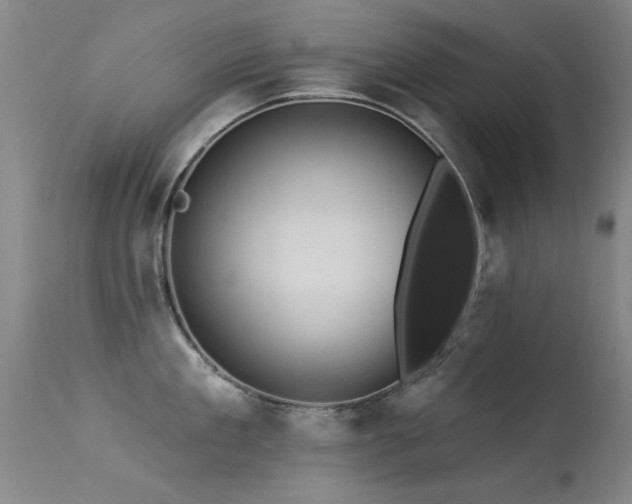 X0000113270909200909171710