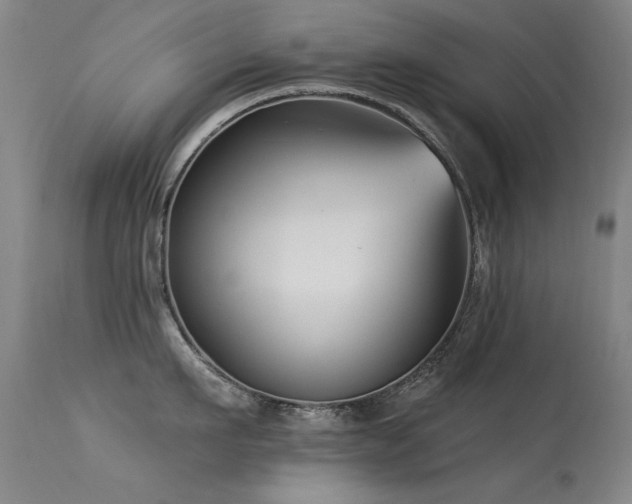 X0000113270911200909171710