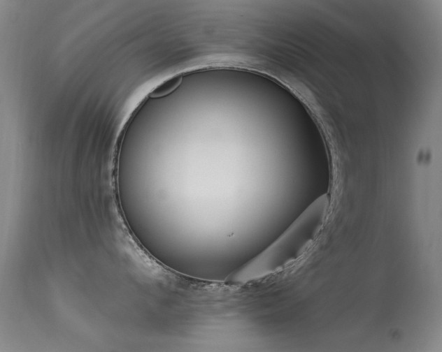 X0000113270912200909171710
