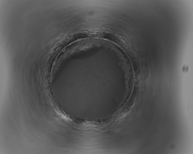 X0000113270913200909171710