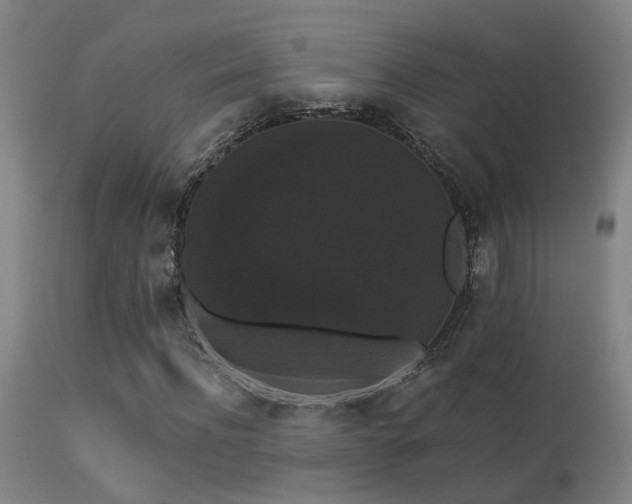 X0000113270916200909171710