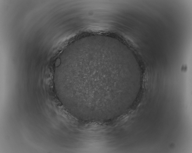 X0000113270917200909171710