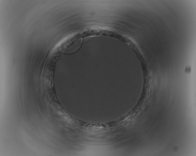 X0000113270919200909171710