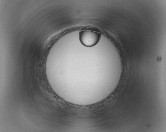 X0000113270920200909171710