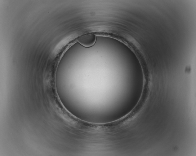 X0000113270922200909171710
