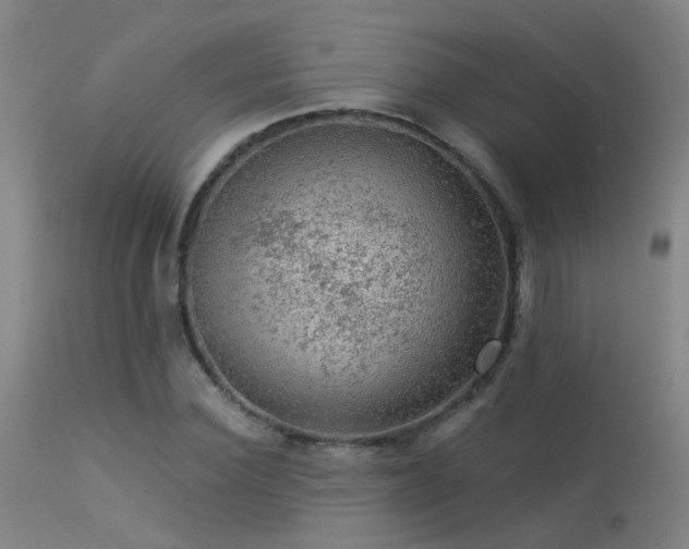 X0000113270924200909171710