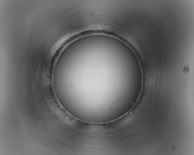 X0000113270927200909171710