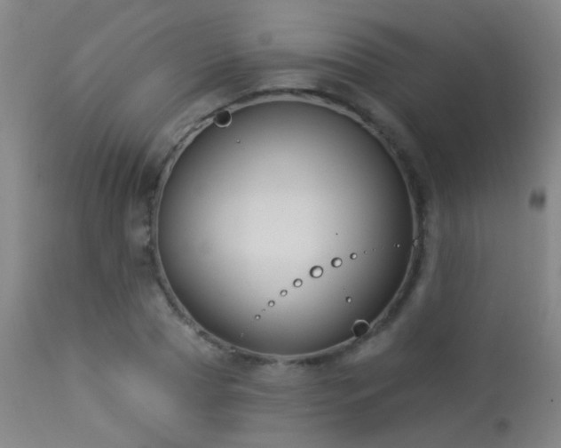 X0000113270929200909171710