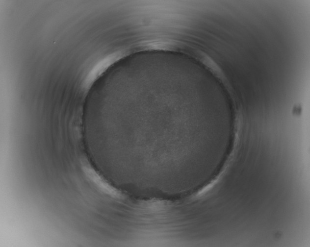 X0000113270930200909171710