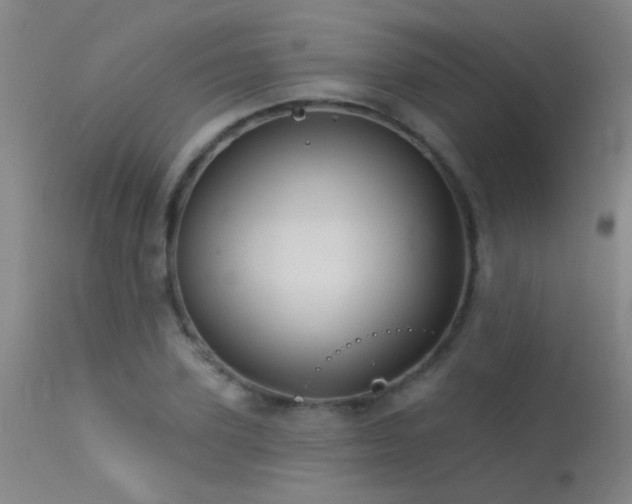 X0000113270931200909171710