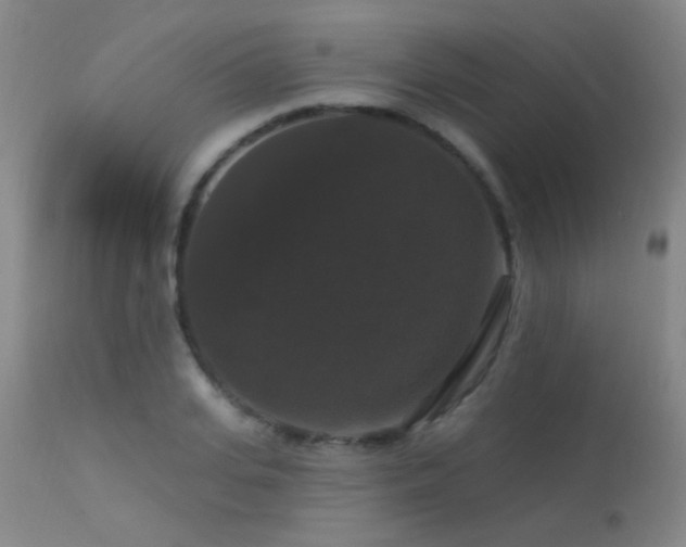 X0000113270935200909171710