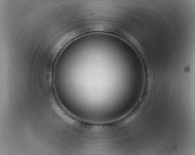 X0000113270938200909171710