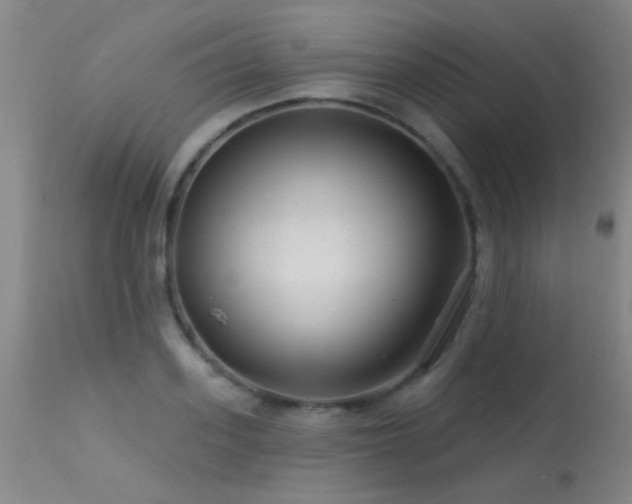 X0000113270939200909171710