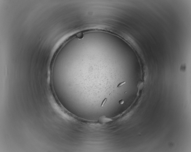 X0000113270940200909171710