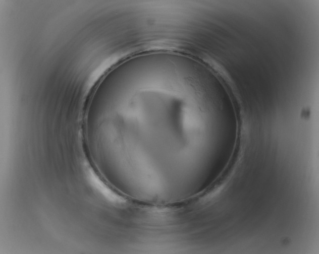 X0000113270941200909171710