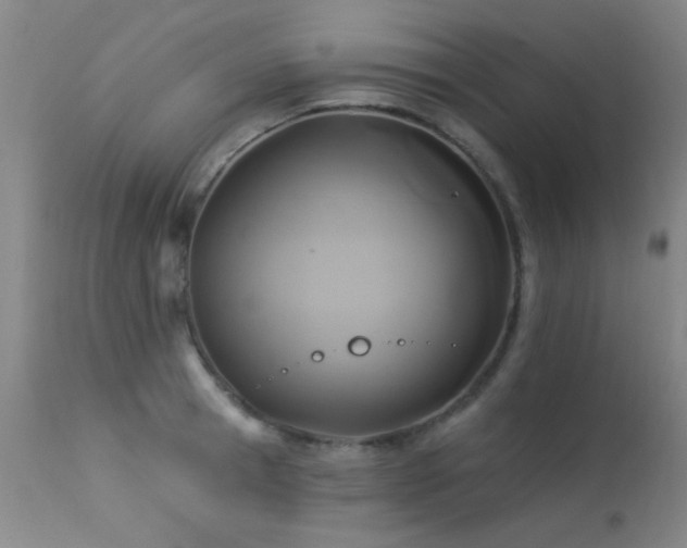 X0000113270945200909171710