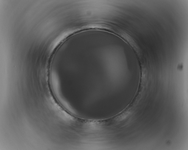 X0000113270950200909171710