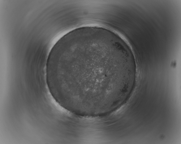 X0000113270951200909171710