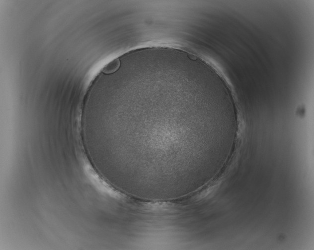 X0000113270952200909171710