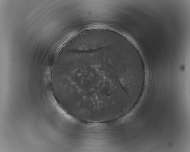 X0000113270953200909171710